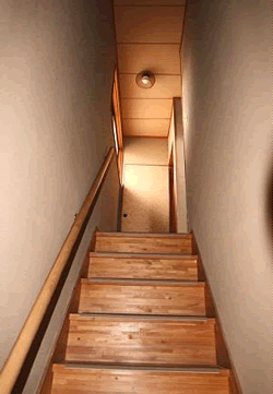 ���t�H�[���_��