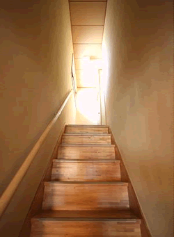 ���t�H�[���_��